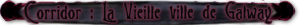 La vieille ville de Galway