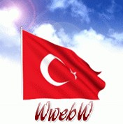 http://img53.xooimage.com/files/6/8/8/flag_01-26c08fd.gif